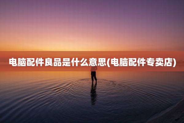 电脑配件良品是什么意思(电脑配件专卖店)