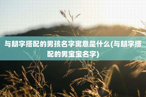 与朗字搭配的男孩名字寓意是什么(与朗字搭配的男宝宝名字)