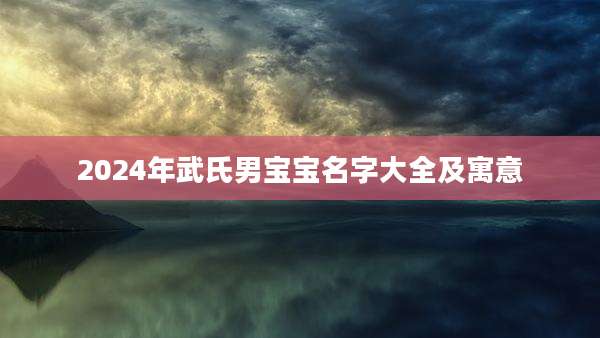 2024年武氏男宝宝名字大全及寓意