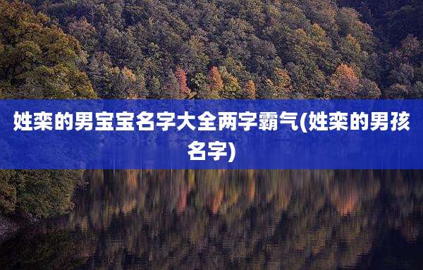 姓栾的男宝宝名字大全两字霸气(姓栾的男孩名字)