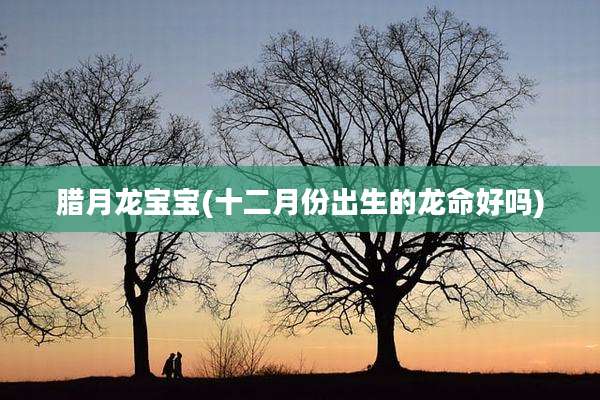 腊月龙宝宝(十二月份出生的龙命好吗)