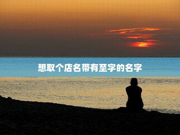 想取个店名带有至字的名字