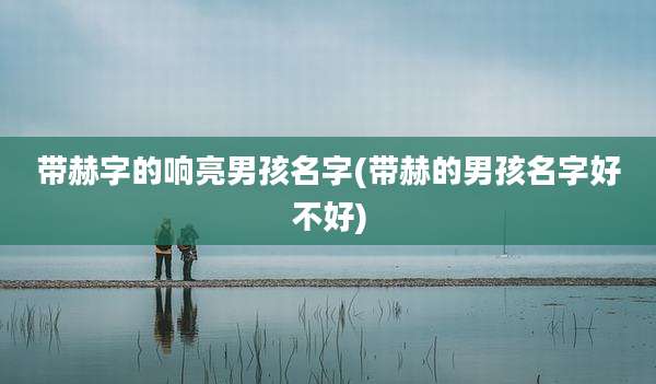 带赫字的响亮男孩名字(带赫的男孩名字好不好)
