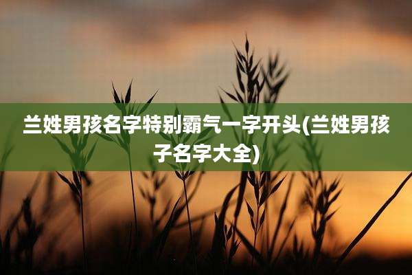 兰姓男孩名字特别霸气一字开头(兰姓男孩子名字大全)