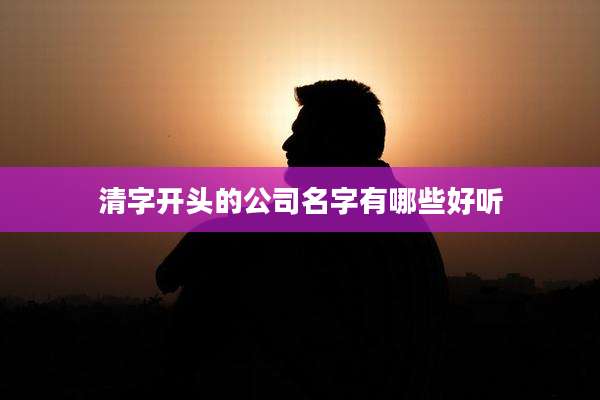 清字开头的公司名字有哪些好听
