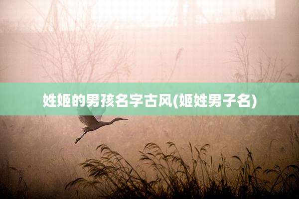 姓姬的男孩名字古风(姬姓男子名)