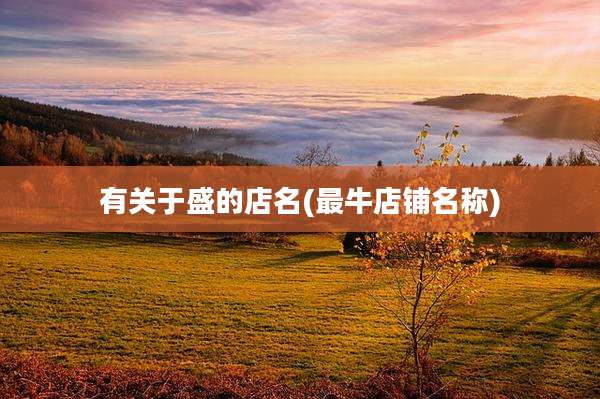 有关于盛的店名(最牛店铺名称)
