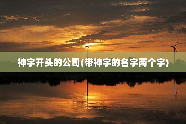 神字开头的公司(带神字的名字两个字)