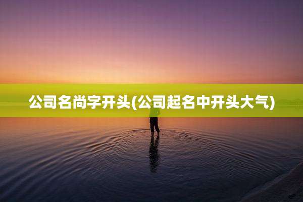 公司名尚字开头(公司起名中开头大气)