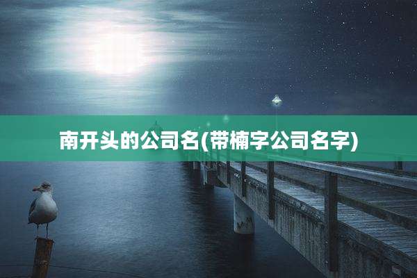 南开头的公司名(带楠字公司名字)