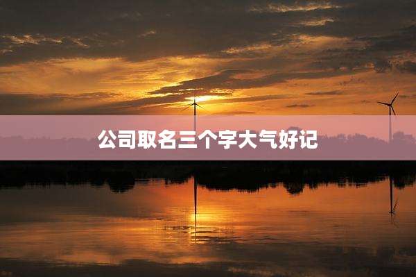 公司取名三个字大气好记
