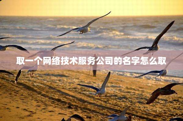 取一个网络技术服务公司的名字怎么取
