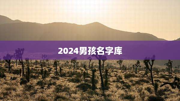 2024男孩名字库