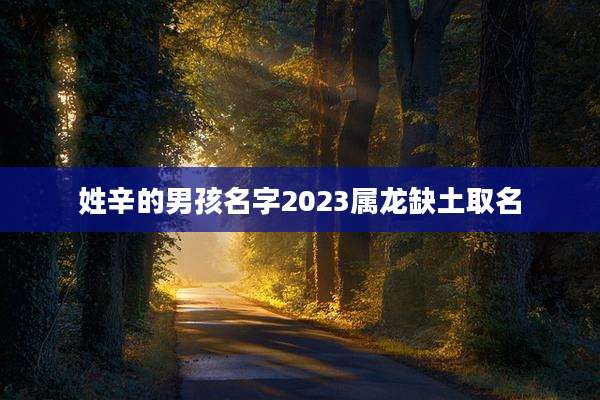 姓辛的男孩名字2023属龙缺土取名