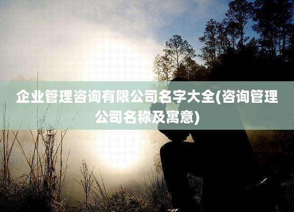 企业管理咨询有限公司名字大全(咨询管理公司名称及寓意)