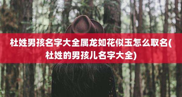 杜姓男孩名字大全属龙如花似玉怎么取名(杜姓的男孩儿名字大全)