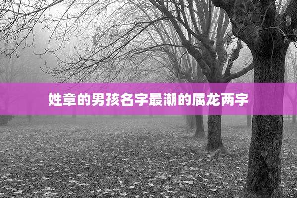 姓章的男孩名字最潮的属龙两字