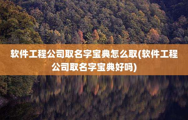软件工程公司取名字宝典怎么取(软件工程公司取名字宝典好吗)