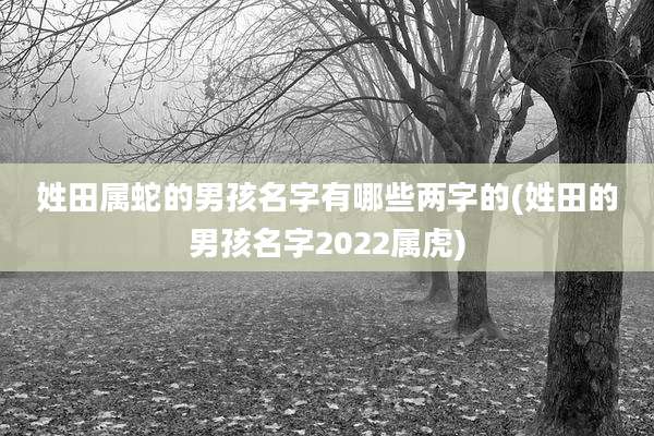 姓田属蛇的男孩名字有哪些两字的(姓田的男孩名字2022属虎)