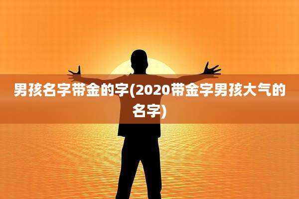 男孩名字带金的字(2020带金字男孩大气的名字)