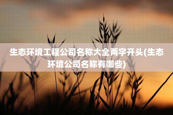 生态环境工程公司名称大全两字开头(生态环境公司名称有哪些)