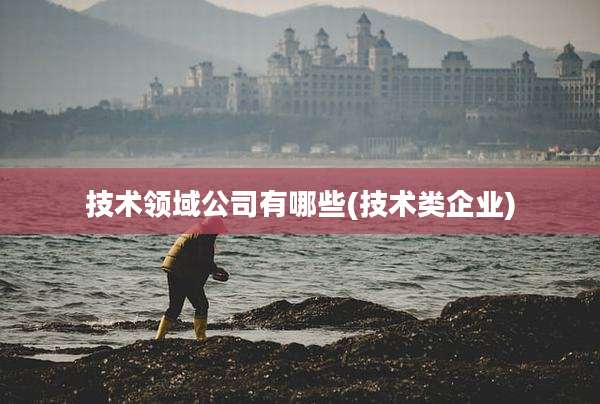 技术领域公司有哪些(技术类企业)