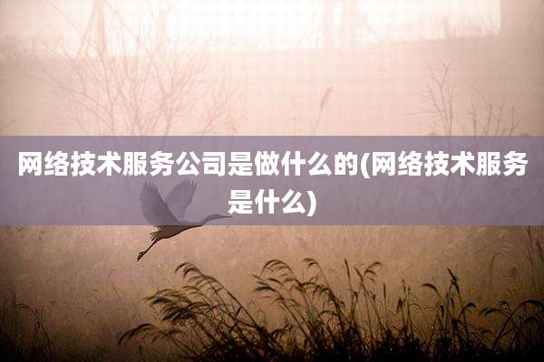 网络技术服务公司是做什么的(网络技术服务是什么)