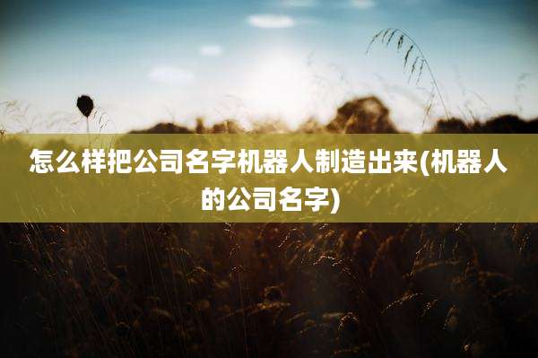 怎么样把公司名字机器人制造出来(机器人的公司名字)