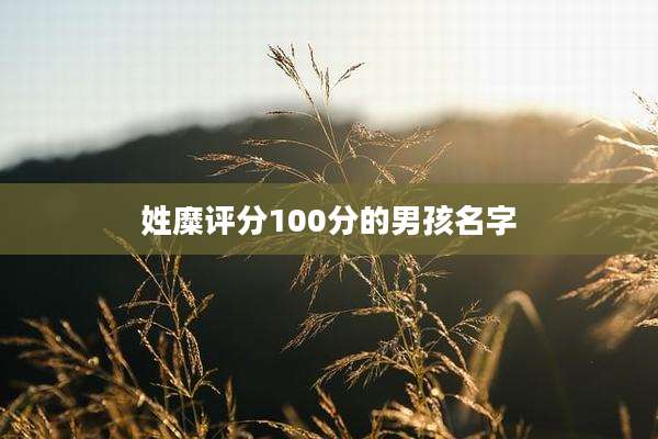 姓糜评分100分的男孩名字