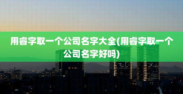 用睿字取一个公司名字大全(用睿字取一个公司名字好吗)