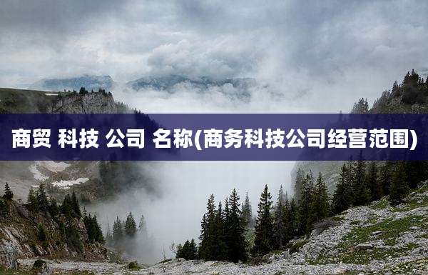 商贸 科技 公司 名称(商务科技公司经营范围)