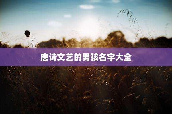 唐诗文艺的男孩名字大全