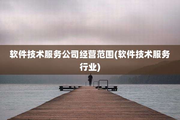 软件技术服务公司经营范围(软件技术服务行业)