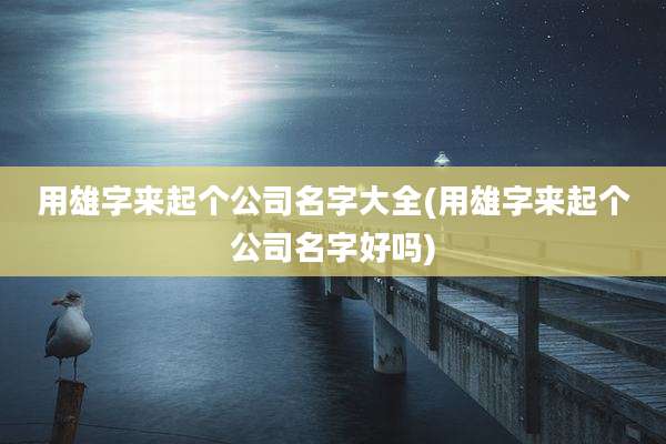 用雄字来起个公司名字大全(用雄字来起个公司名字好吗)