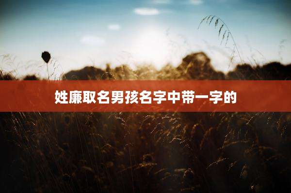姓廉取名男孩名字中带一字的