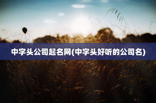 中字头公司起名网(中字头好听的公司名)