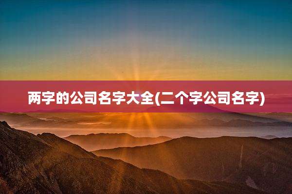 两字的公司名字大全(二个字公司名字)