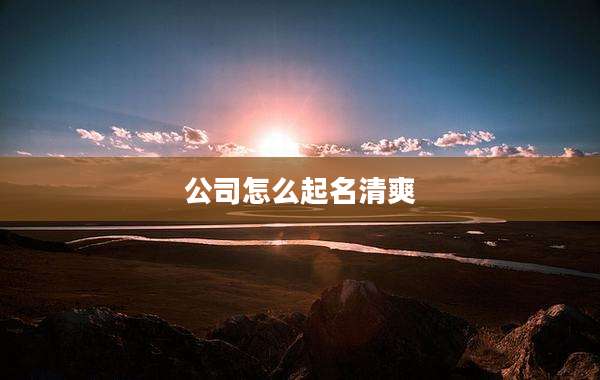 公司怎么起名清爽