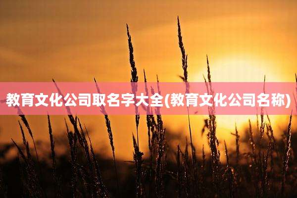 教育文化公司取名字大全(教育文化公司名称)