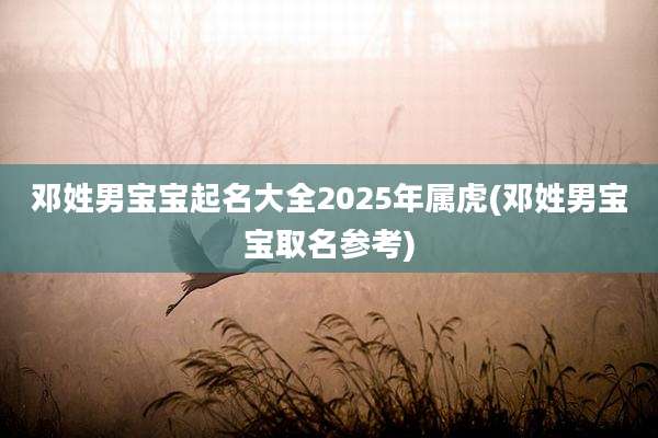 邓姓男宝宝起名大全2025年属虎(邓姓男宝宝取名参考)