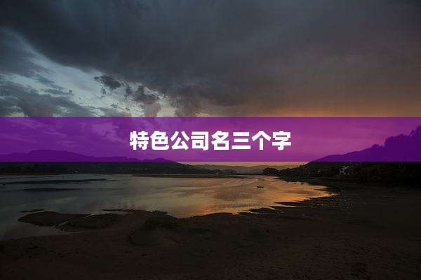 特色公司名三个字