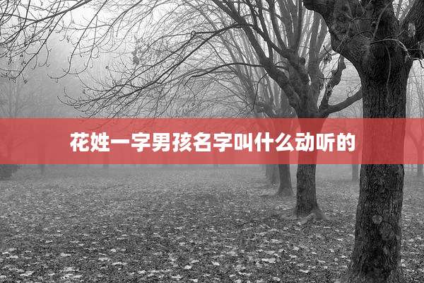 花姓一字男孩名字叫什么动听的
