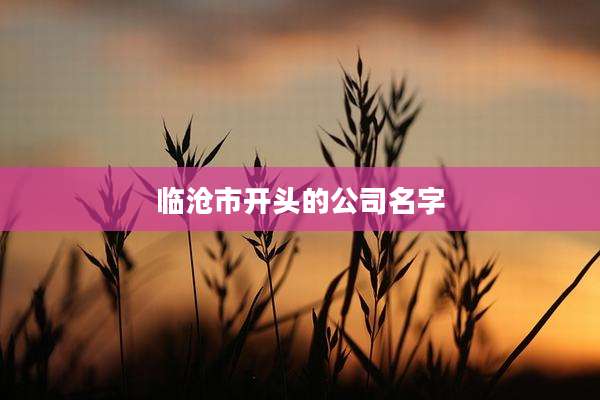 临沧市开头的公司名字