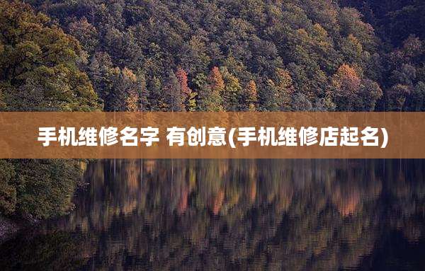 手机维修名字 有创意(手机维修店起名)