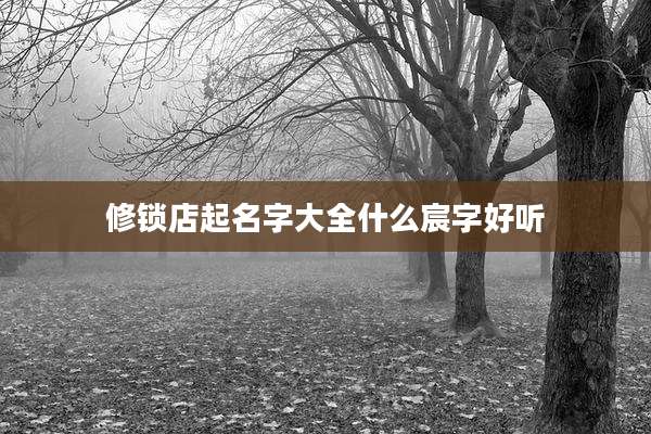 修锁店起名字大全什么宸字好听