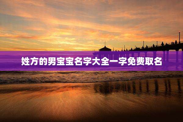 姓方的男宝宝名字大全一字免费取名