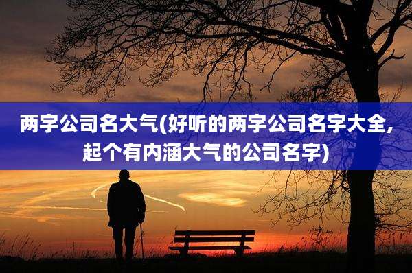 两字公司名大气(好听的两字公司名字大全,起个有内涵大气的公司名字)