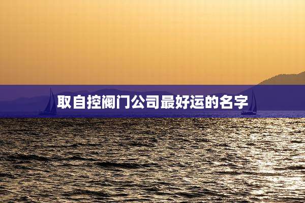 取自控阀门公司最好运的名字