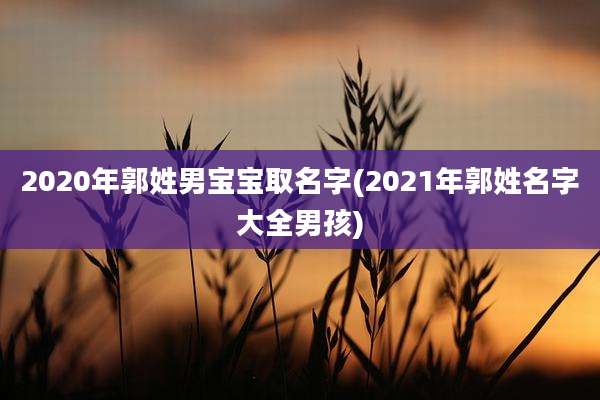2020年郭姓男宝宝取名字(2021年郭姓名字大全男孩)