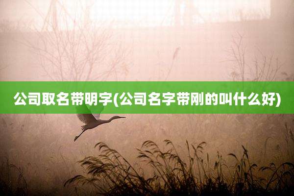 公司取名带明字(公司名字带刚的叫什么好)